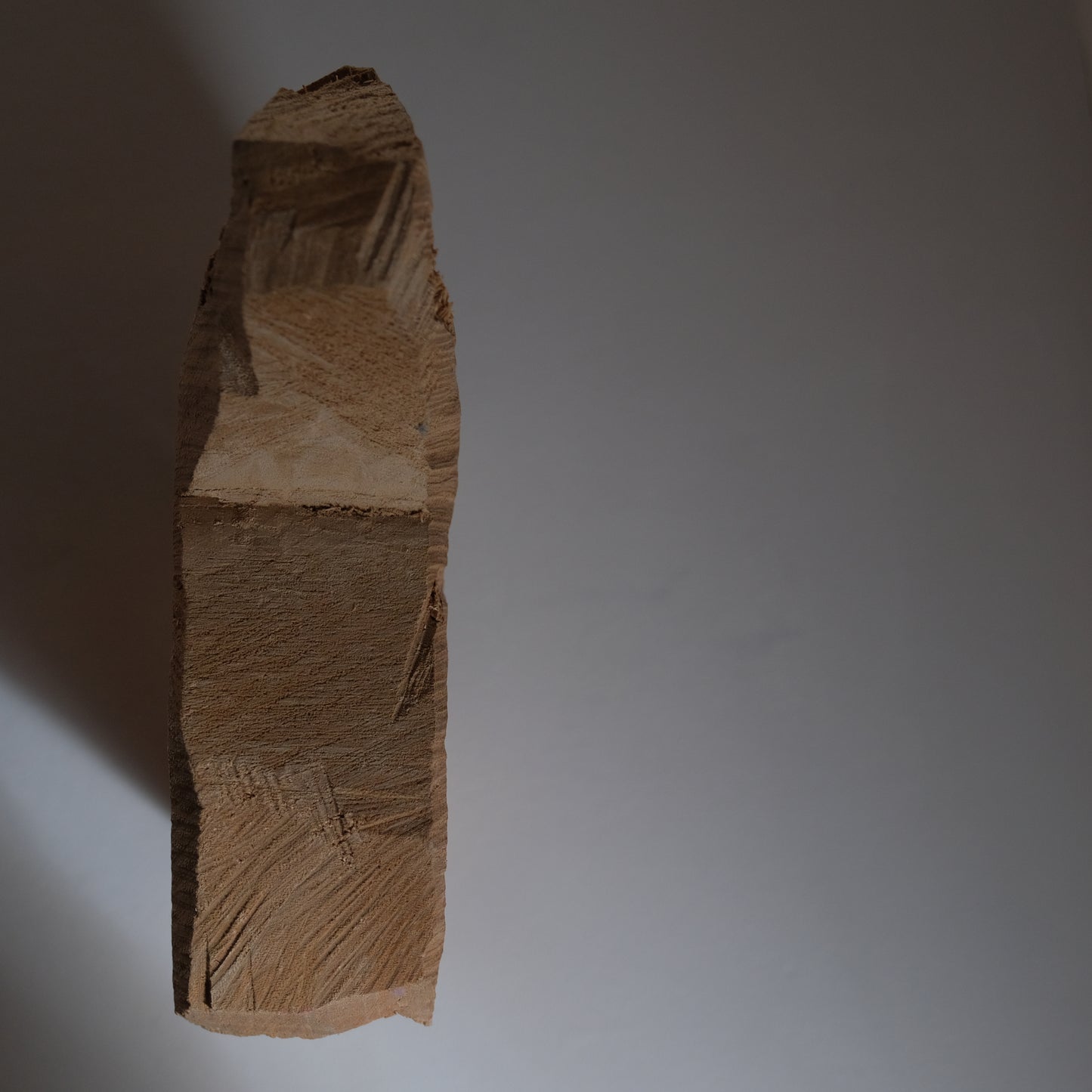 WOODEN SCULPTURE -馬-