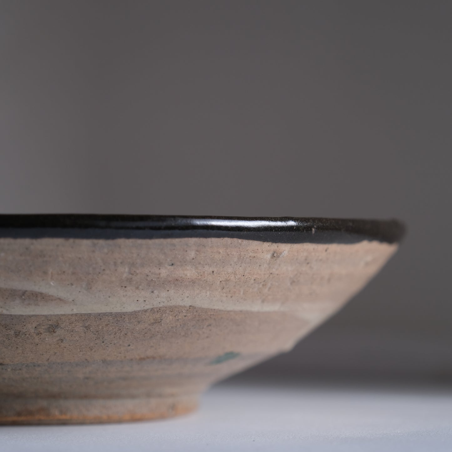 蜻蛉色絵尺皿 / 合田好道