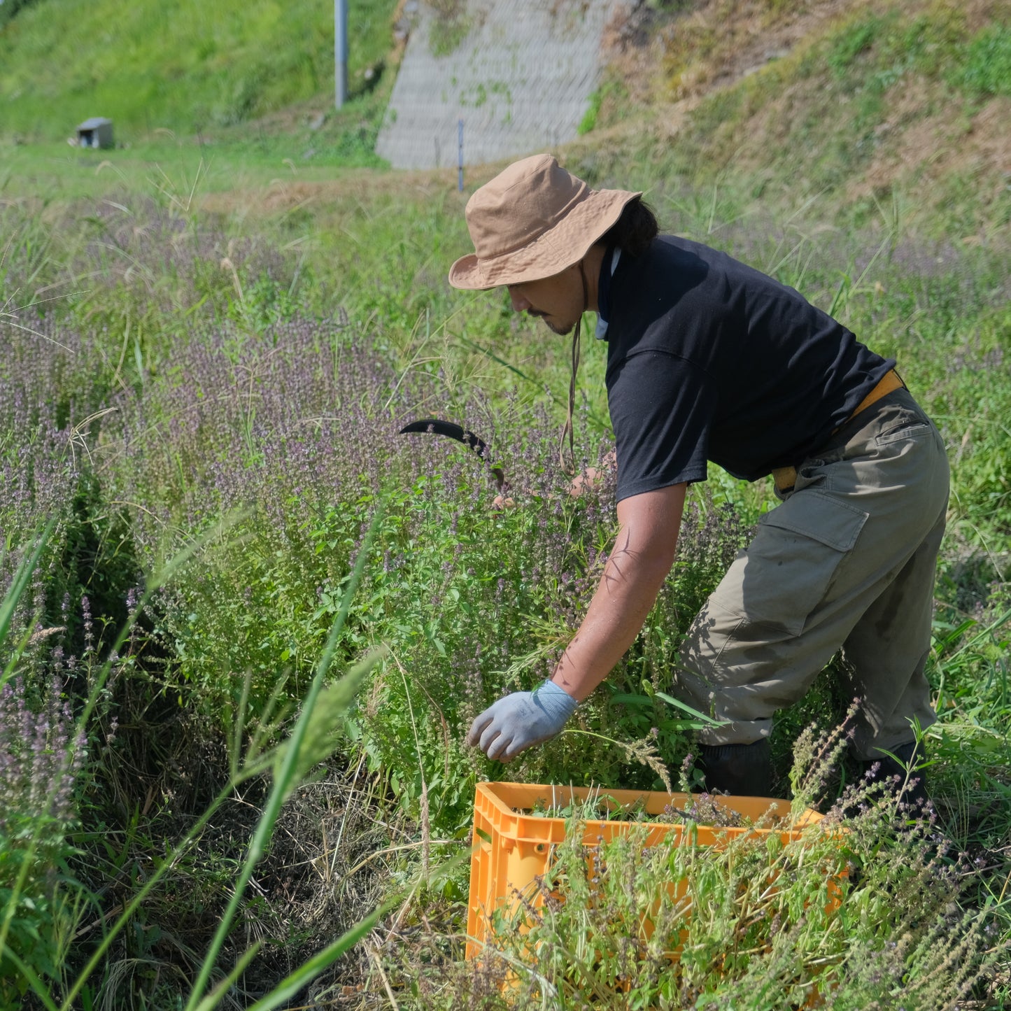 けむ 〈 01- uhi 〉